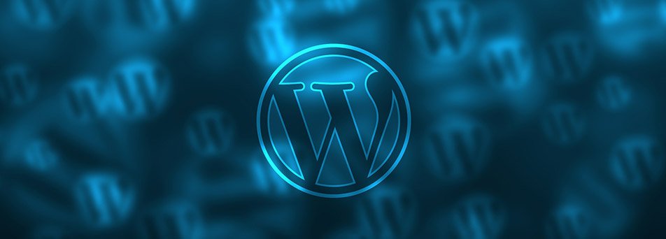 Basic WordPress Website